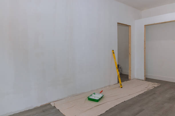 Professional Dry wall and painting in Columbine, CO